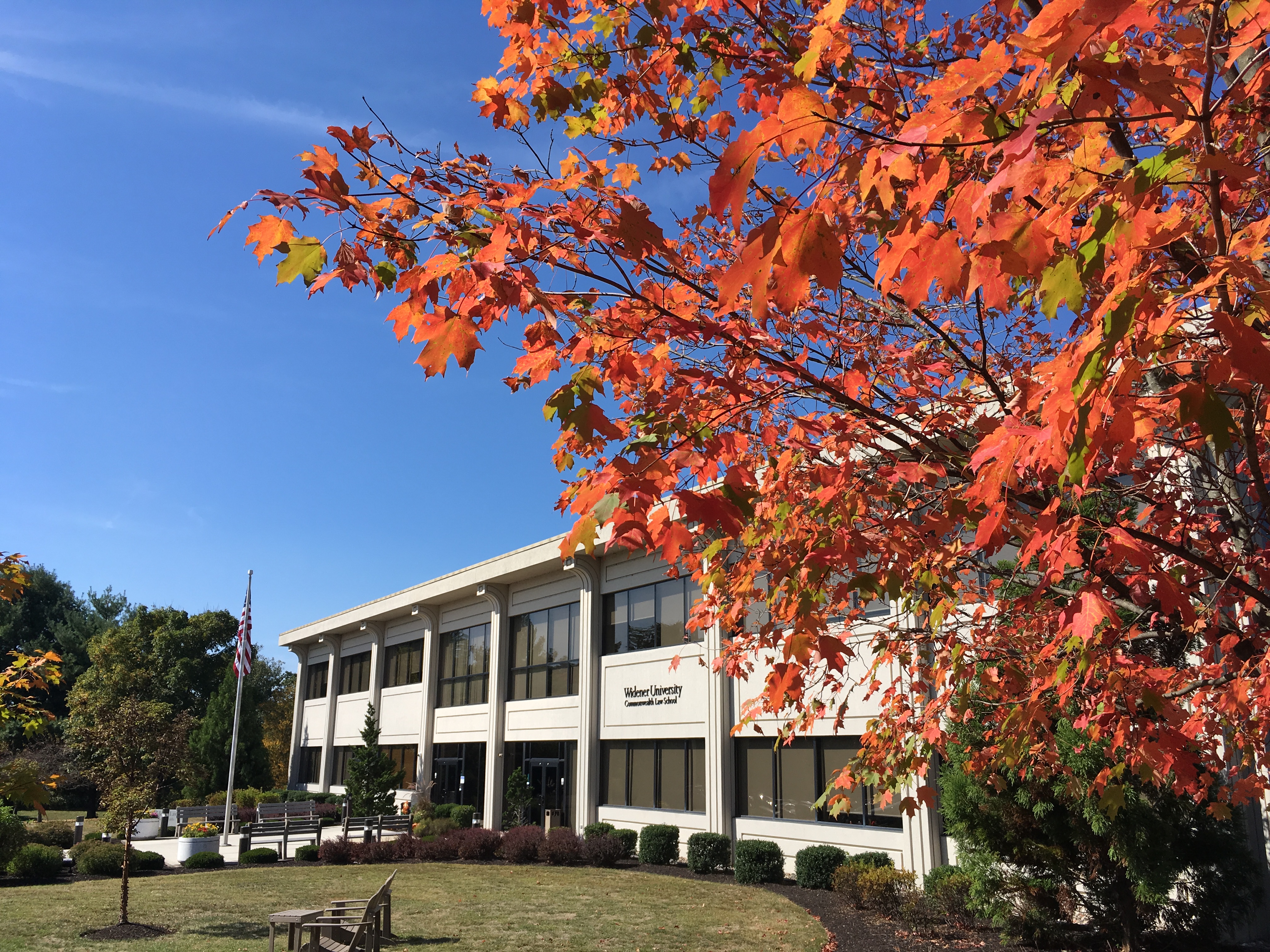 Image of Widener Law Commonwealth library building with an autumn tree.