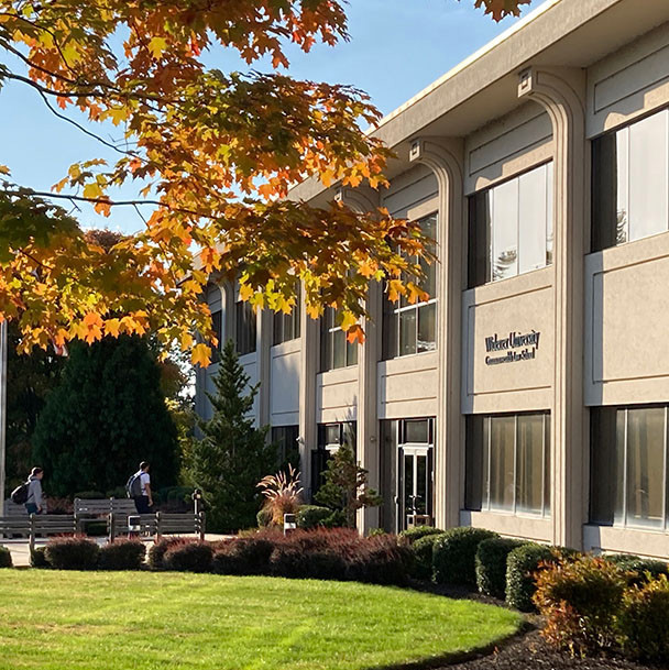 Two students entering the library building in the fall with a tree at the top in fall colors.