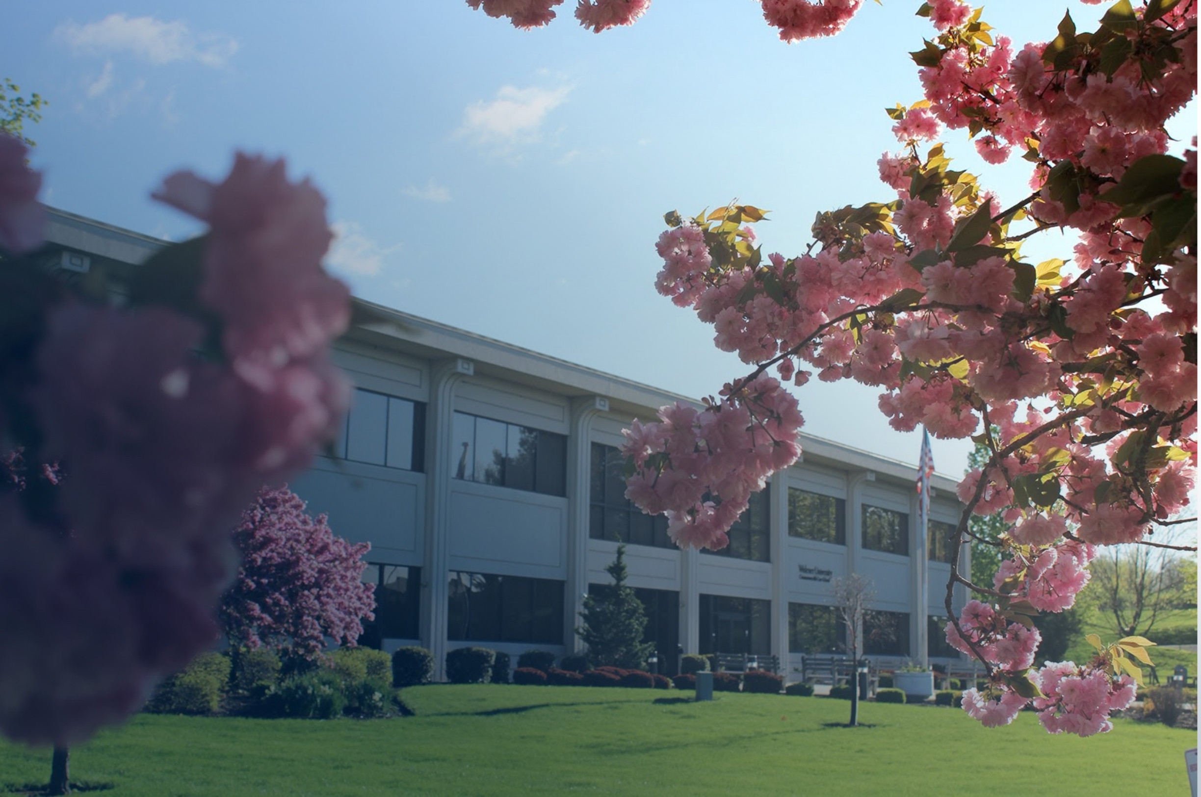 Campus Building