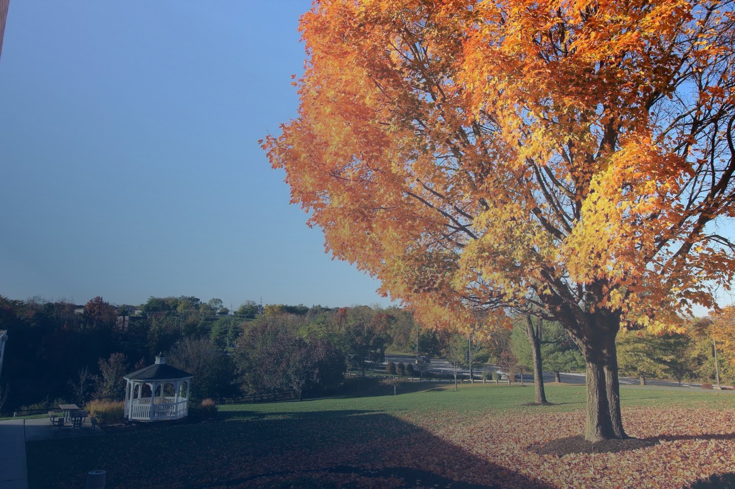 Campus Field