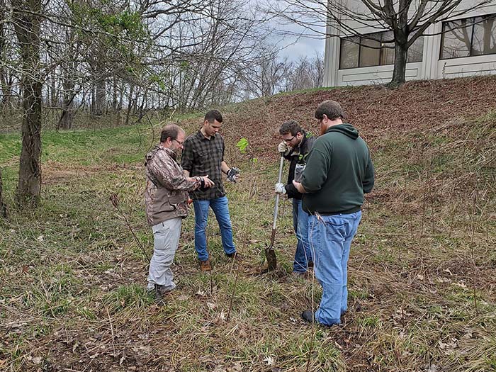 Four people plant a small tree on a grassy hillside near a building, working together with shovels on a cool early-spring day with bare trees visible in the background.