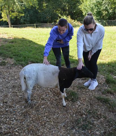 Alyssa Riley and Taylor Stech petting a goat. 